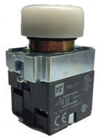 Shamrock Controls LED Flashing Buzzer RB2-KS New 110 volt ac/dc 